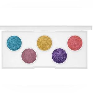 Pat McGrath Vibrant Eyeshadow Pallet  & purple clip 2 pc bundle